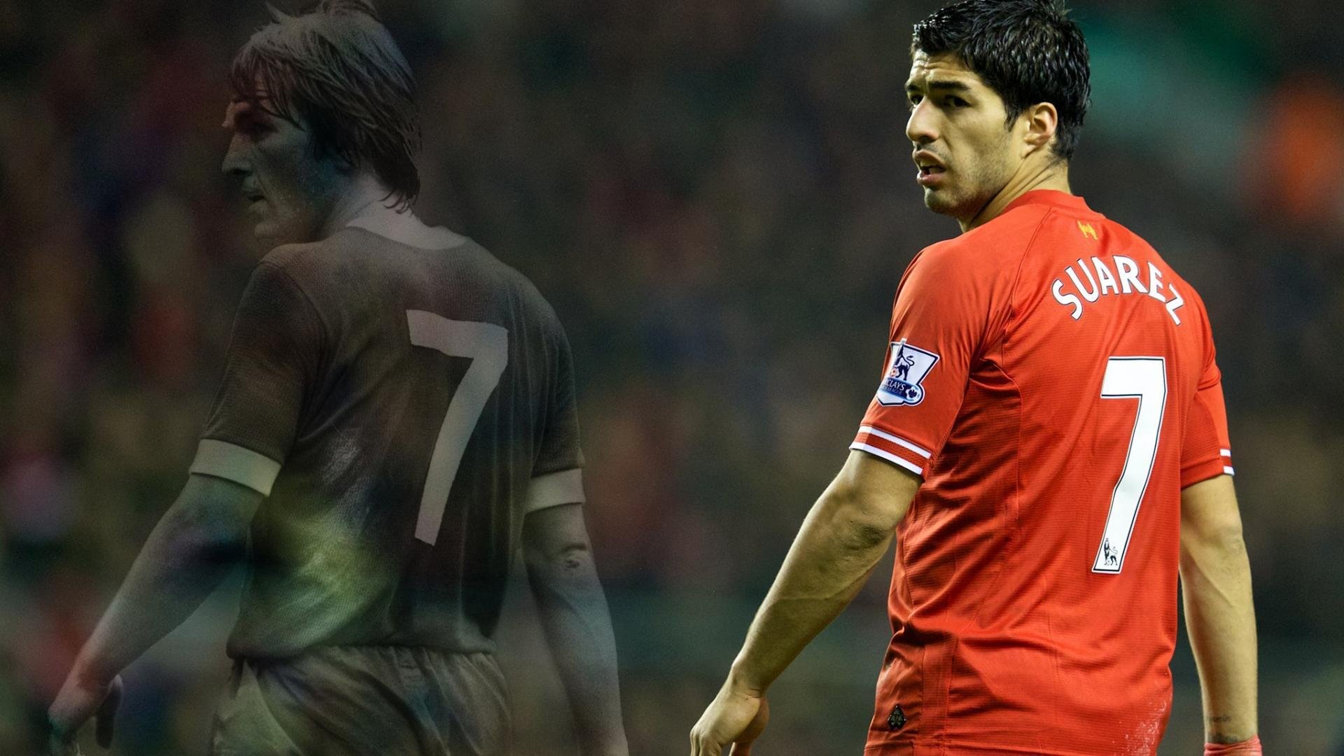 世界拳击名录更新,格局重整,世界拳击名录更新,格局重整